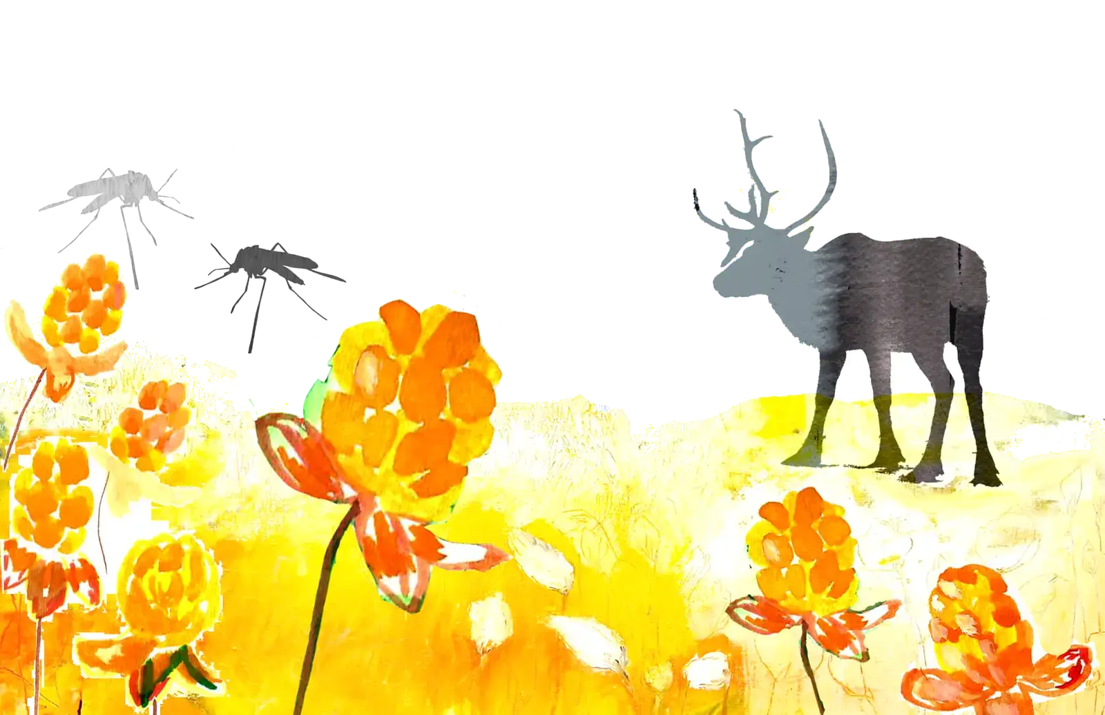 Harvest, illustration by Lotta Vuorma